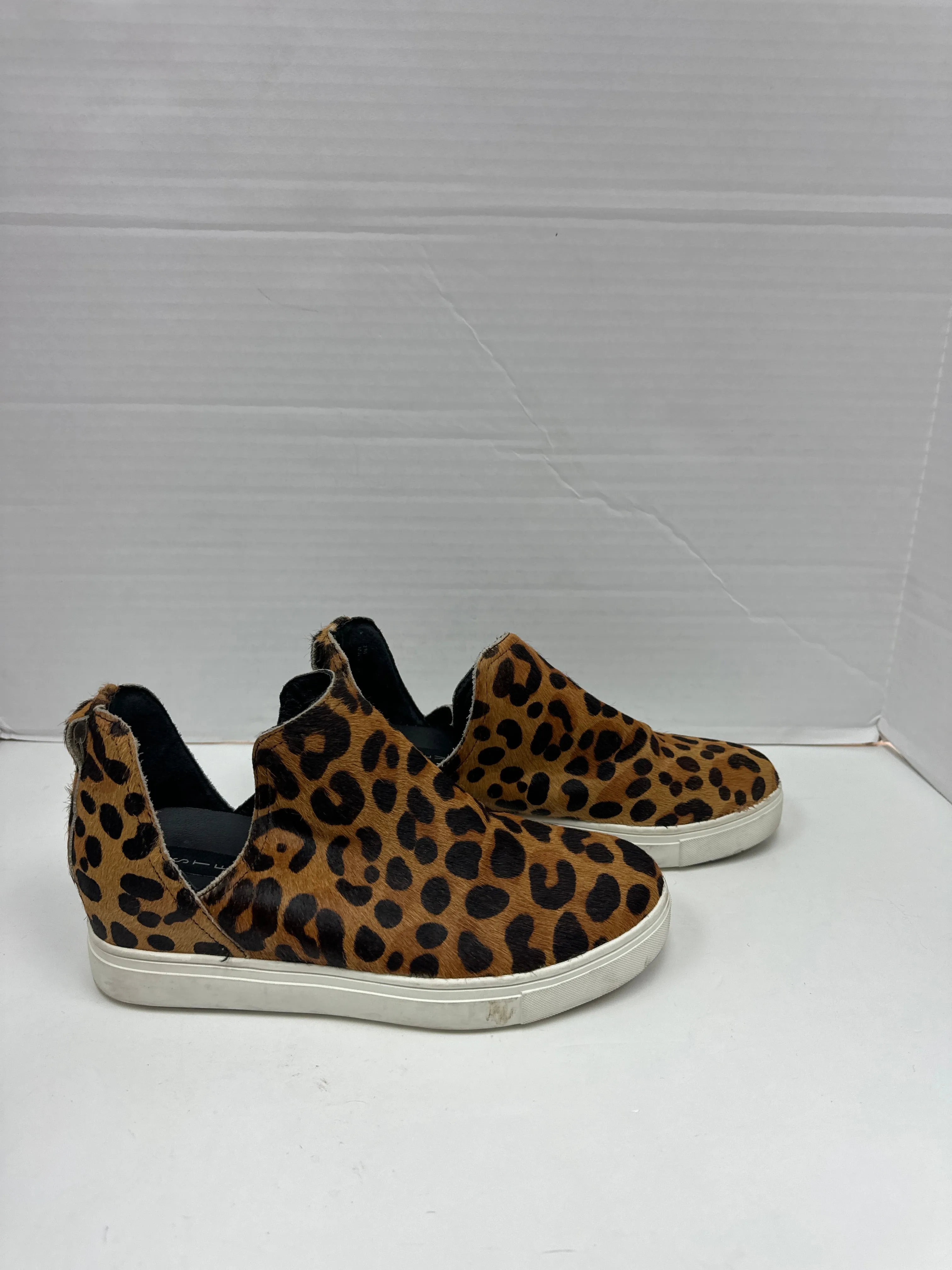 Shoes Sneakers By Steve Madden  Size: 7 steve madden
