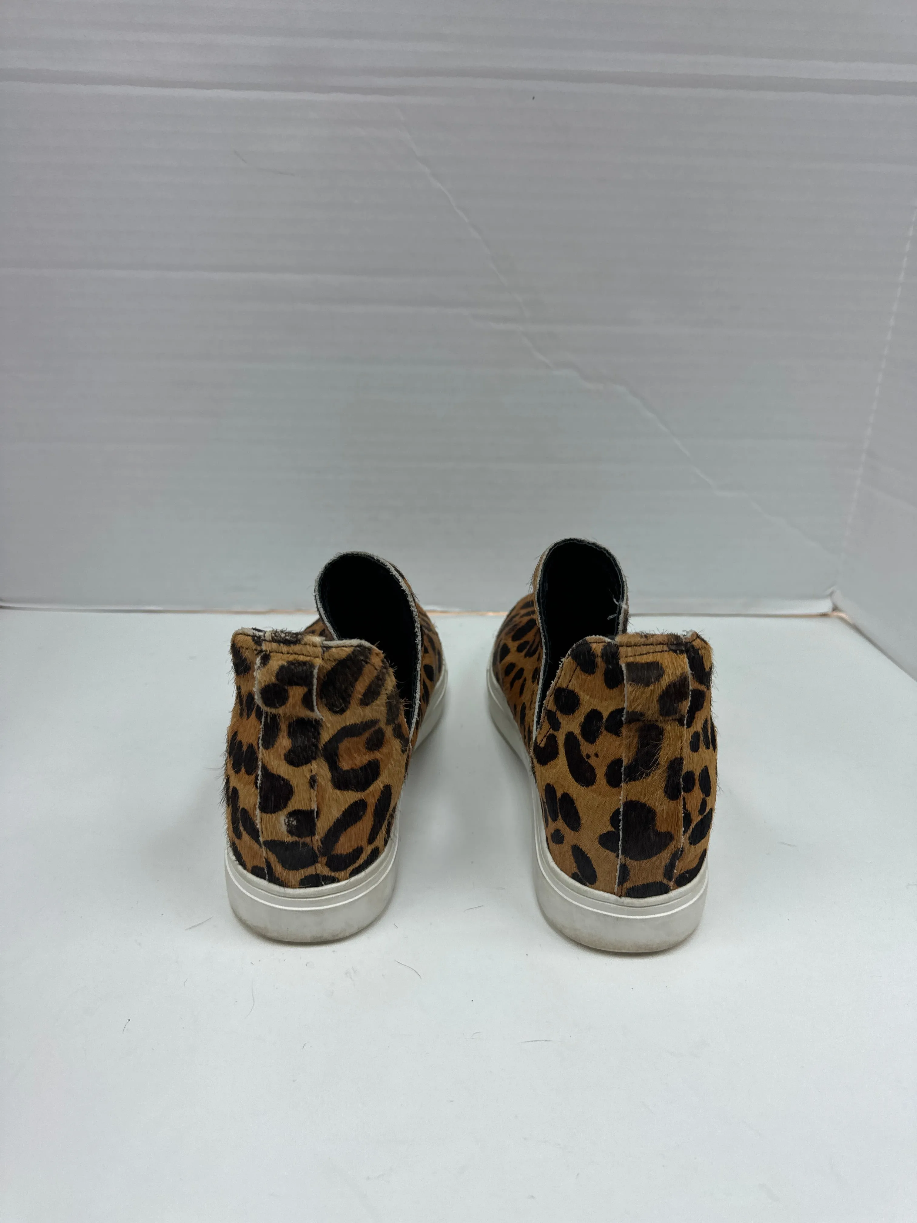 Shoes Sneakers By Steve Madden  Size: 7 steve madden