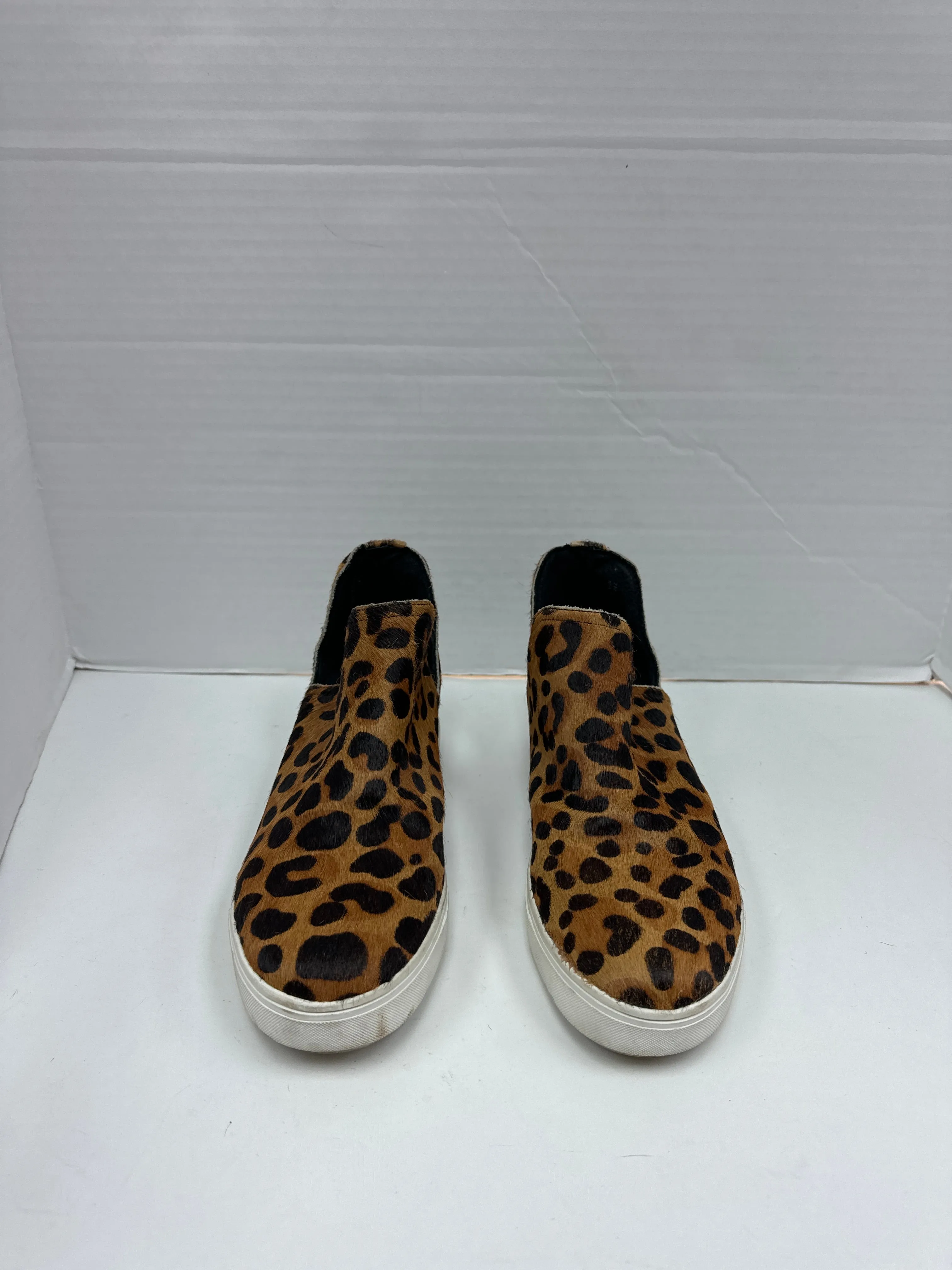 Shoes Sneakers By Steve Madden  Size: 7 steve madden